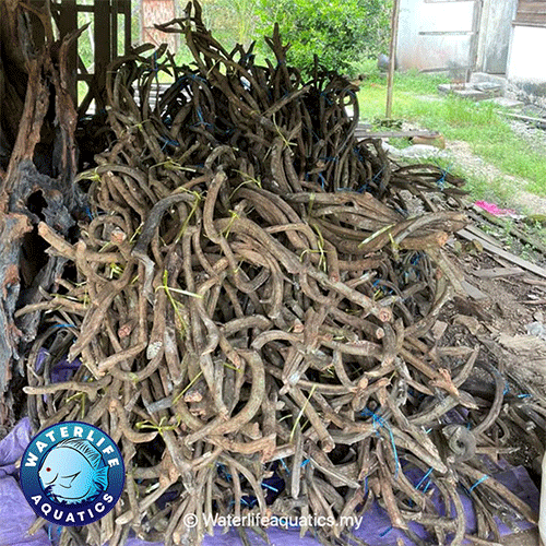 undefined