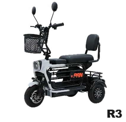 R3