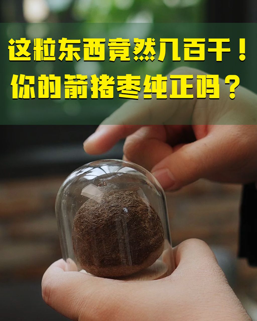 这粒东西竟然几百千？